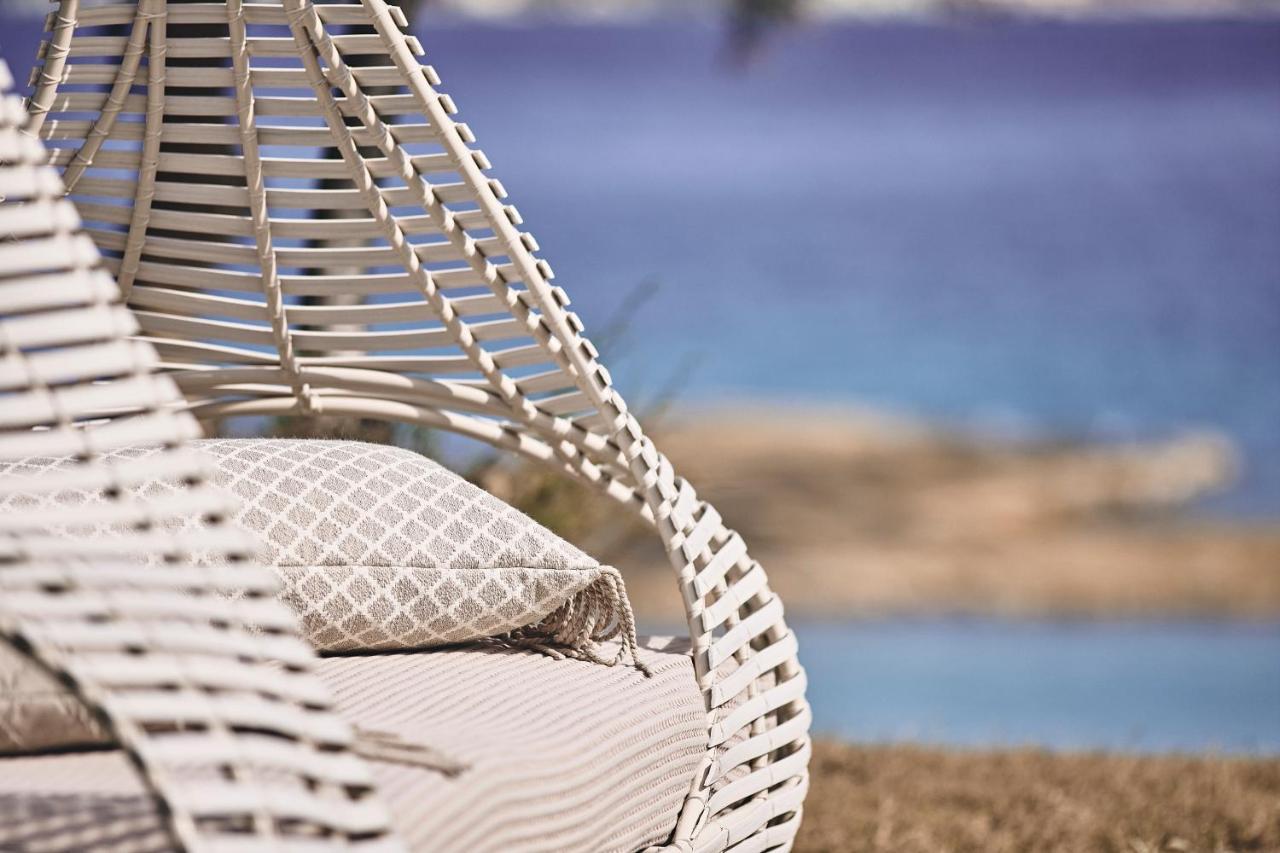 Noon Beyond Accommodation بولونيا المظهر الخارجي الصورة