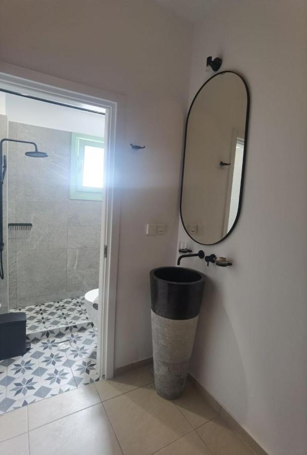 Noon Beyond Accommodation بولونيا المظهر الخارجي الصورة